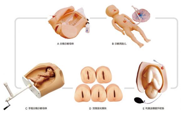 腹部觸診、分娩機(jī)轉(zhuǎn)綜合模型KAS/F54