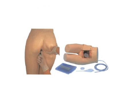 輔助排便和灌腸練習(xí)模型KAS-13