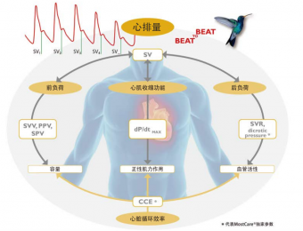  意大利MostCare血流動(dòng)力學(xué)監(jiān)測儀 ，快速、簡單、可靠！