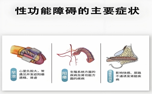 強(qiáng)弓治療儀 06-24-2025
