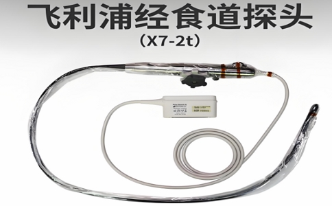 飛利浦經(jīng)食道探頭 07-23-2025